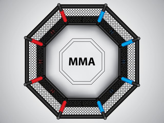 MMA octagon cage