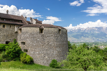 Fototapeta na wymiar Vaduz Castle in the Alps, Liechtenstein.