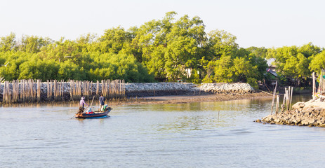 fisherman on the boat in the sea with mangrove forest