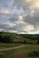 Fototapeta na wymiar countryside in may before the storm