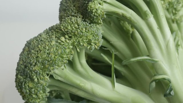  Brassica oleracea broccoli floret 4K close-up tilting footage