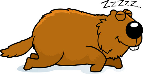 Cartoon Woodchuck Sleeping