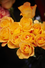 bouquet of yellow roses