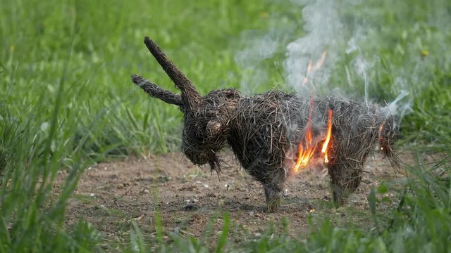 Pagan ritual of burning hay goat