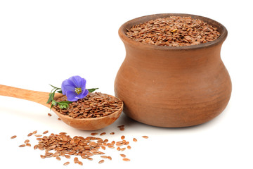 clay pot with flax seeds and flower isolated on white background. flaxseed or linseed. Cereals.