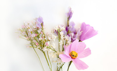 Obraz premium Three artificial flowers on white background