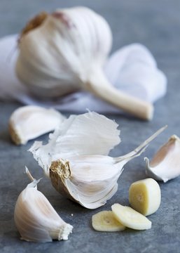 Cut up clove of purple stripe garlic with unpeeled cloves lying on a blue-grey sheet metal