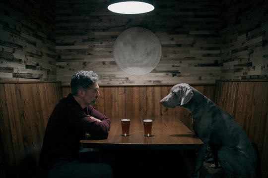 Mature man with Weimaraner dog sitting in front of pints of beer