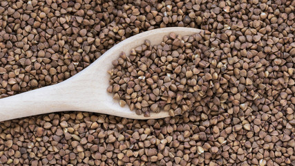 Wooden spoon with raw buckwheat groats