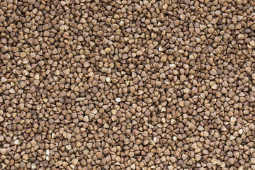 Buckwheat groats as background
