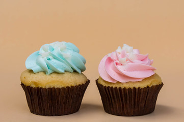 sweet cup cake dessert on yellow background and copy space