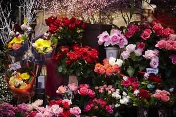 flowers in the garden