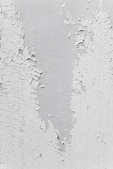 Grunge wood wall pattern. The white wood texture with natural patterns. Old Wood Panel Background.