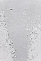 Grunge wood wall pattern. The white wood texture with natural patterns. Old Wood Panel Background.