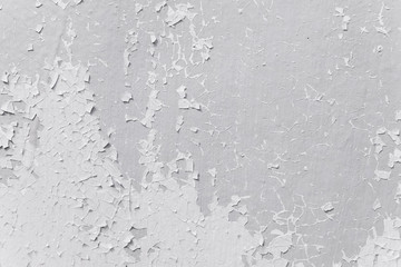 Grunge wood wall pattern. The white wood texture with natural patterns. Old Wood Panel Background.