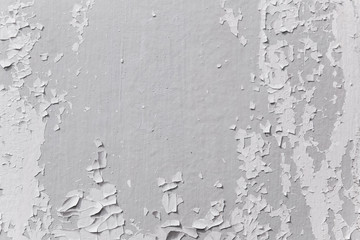 Grunge wood wall pattern. The white wood texture with natural patterns. Old Wood Panel Background.