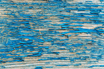 The blue wood texture with natural patterns. Fashionable youth background texture. Cracked paint.