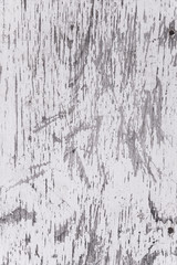 Grunge wood wall pattern. The white wood texture with natural patterns.