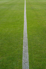 Obraz premium Soccer field or football field background.