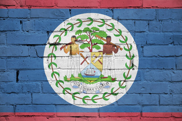 Belize flag is painted onto an old brick wall