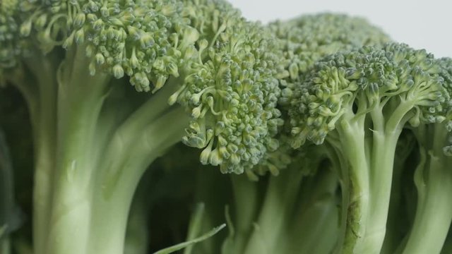 Close-up of broccoli Brassica oleracea 4K slow pan footage