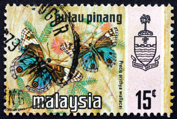 Postage stamp Malaysia 1971 Blue Pansy, Butterfly - obrazy, fototapety, plakaty