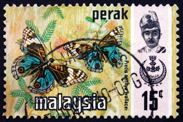 Postage stamp Malaysia 1971 Blue Pansy, Butterfly - obrazy, fototapety, plakaty