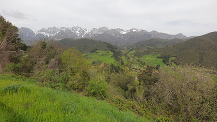 Fototapeta premium Arguébanes en Cantabria, Picos de Europa