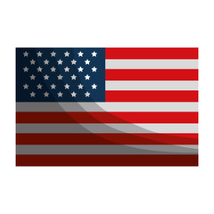 united states of america flag vector illustration design
