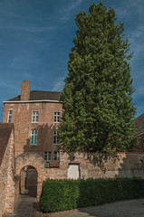 Fototapeta na wymiar Brick facade of house, tree and blue sky in a peaceful courtyard in Bruges. With many canals and old buildings, this graceful town is a World Heritage Site of Unesco. Northwestern Belgium.