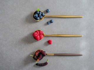mulberry, blueberries and raspberries, served on spoons on a gray background
