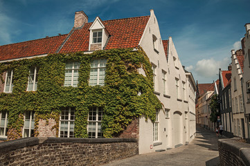 Fototapeta na wymiar Bridge and brick buildings with creeper on the canal's edge in a sunny day at Bruges. With many canals and old buildings, this graceful town is a World Heritage Site of Unesco. Northwestern Belgium.