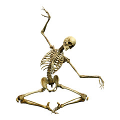 3D Rendering Human Skeleton on White