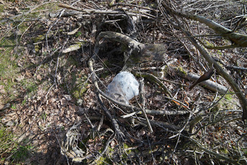 Plastic trash in the forest.