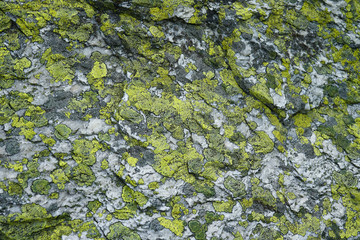 Old gray stone with green moss.