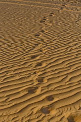 Spuren im sand