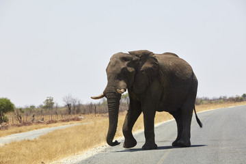 Obraz premium Botswana Namibia Simbabwe