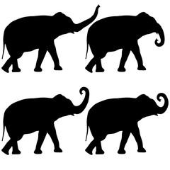 Set Silhouette large African elephant on a white background