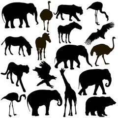 Silhouette elephant tiger bear giraffe flamingo pelican goose on a white background