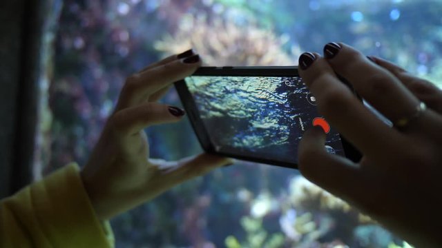 Female visitor takes mobile phone pictures of underwater in Aquarium Museum in Gdynia Poland
