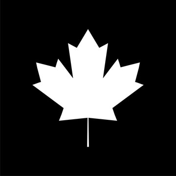 Maple Leaf icon on dark background