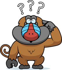 Cartoon Stupid Baboon