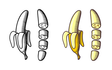 Stylized hand drawn illustration of bananas. Peeled and sliced banana. Outline and colored version