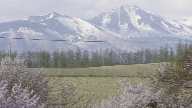 春の北海道