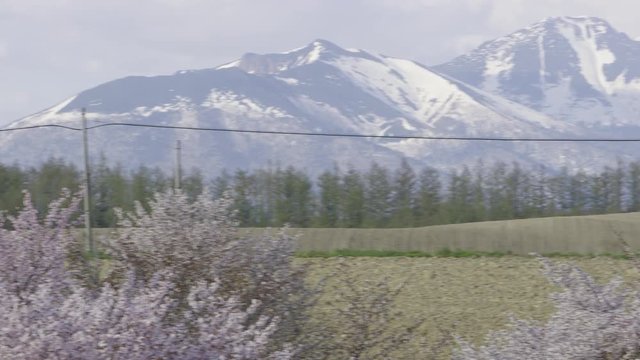 春の北海道