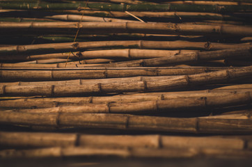 A pile of bamboo
