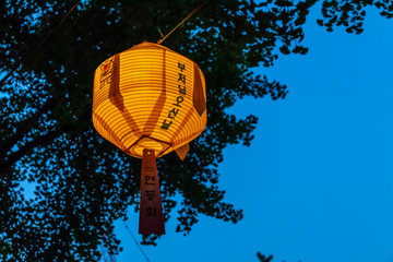 Asian Lantern at a Buddhist Temple