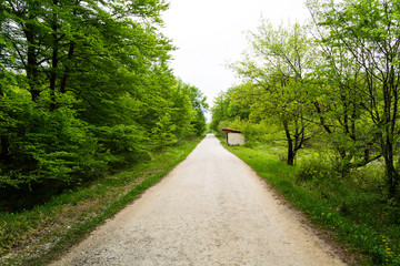 Naklejka premium Salto del Nervión y alrededores, Monte Santiago