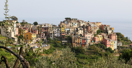 Fototapeta na wymiar Corniglia / Cinque Terre