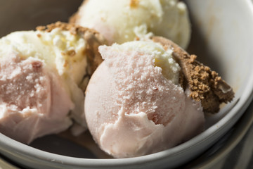 Homemade Neopolitan Ice Cream